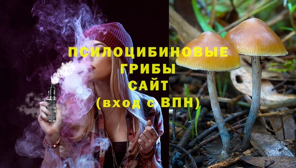 молекула духа Зерноград