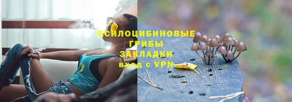 apvp Зеленокумск