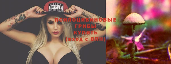 молекула духа Зерноград