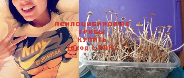 jwh Каменногорск