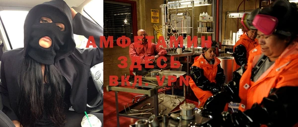 шишки Инта