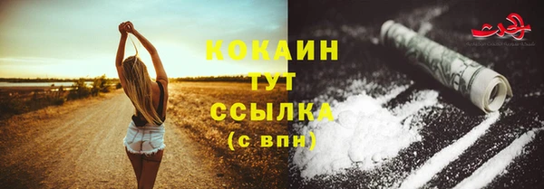 стаф Заволжск
